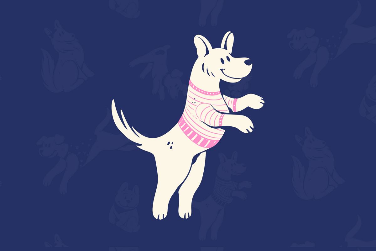 Polerones para perros de Dear Friend