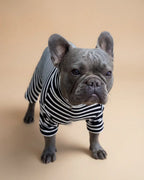 Enterito Everyday Stripe – Midnight