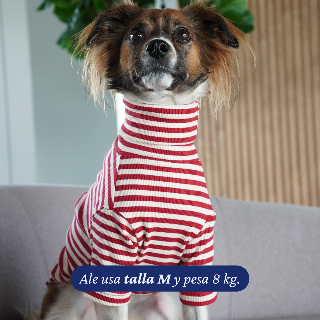 Perro de 8 kg usando la Polera Everyday Stripe Poppy de Dear Friend en talla M.