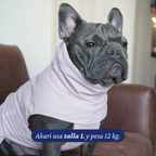 Bulldog francés de 12 kg usando el Impermeable Winter Blossom de Dear Friend en talla L.