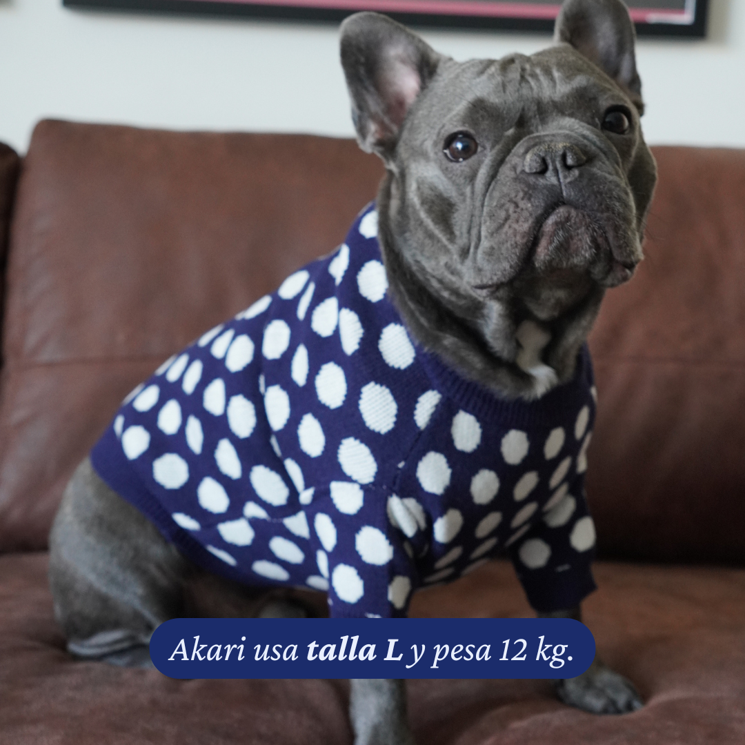 Bulldog francés de 12 kg usando el Sweater Winter Dot Navy de Dear Friend en talla L.