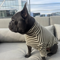 Polera Everyday Stripe – Olive