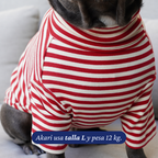 Polera Everyday Stripe – Poppy