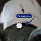 Detalle del cuello ajustable del impermeable para perros de Dear Friend.