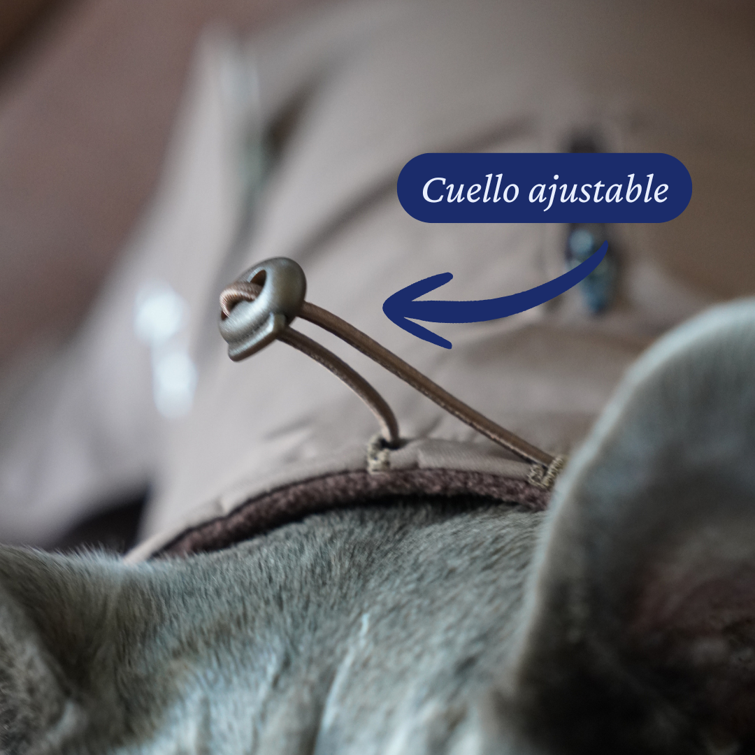 Detalle del cuello ajustable del Impermeable Winter Espresso para perros de Dear Friend.