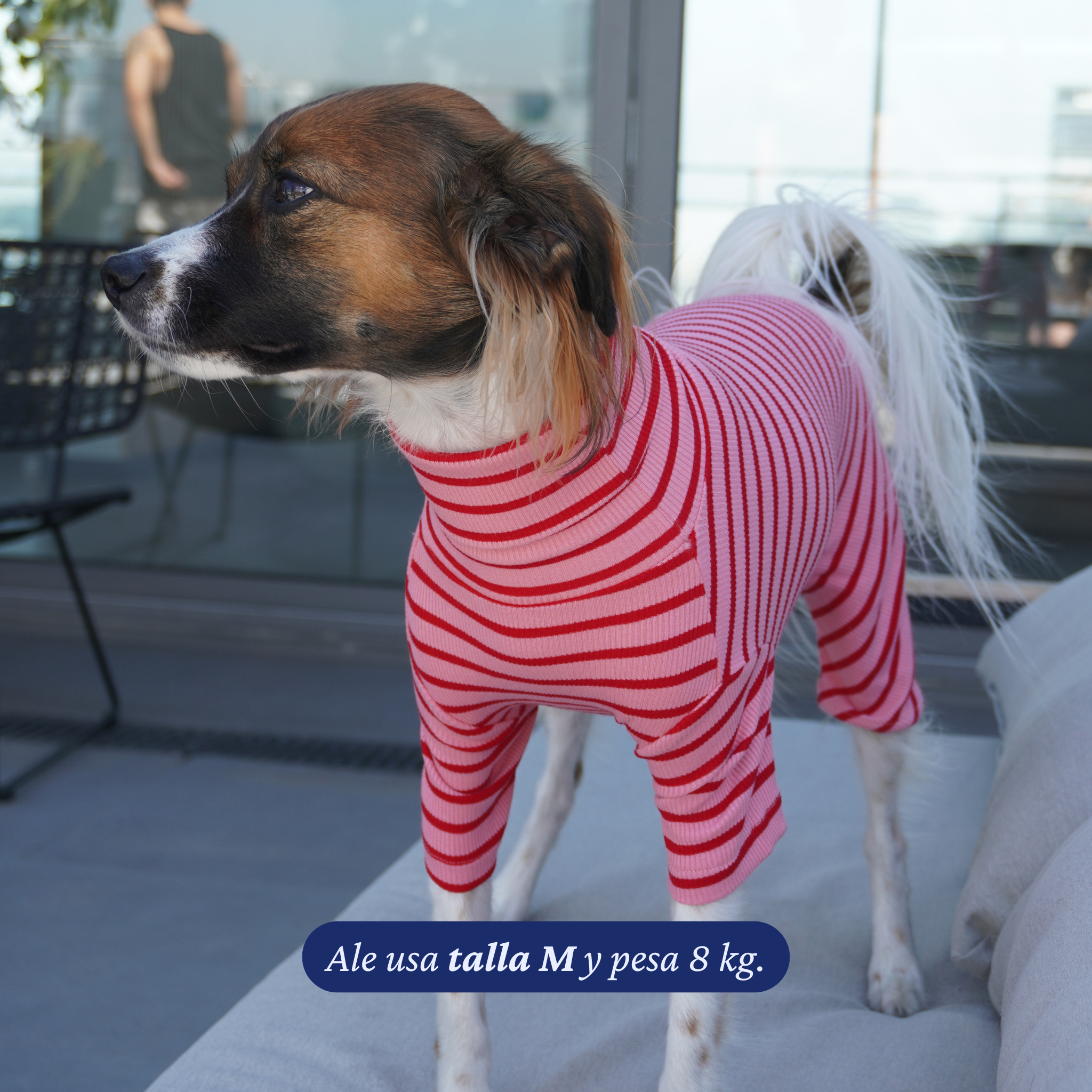 Enterito Everyday Stripe – Blush