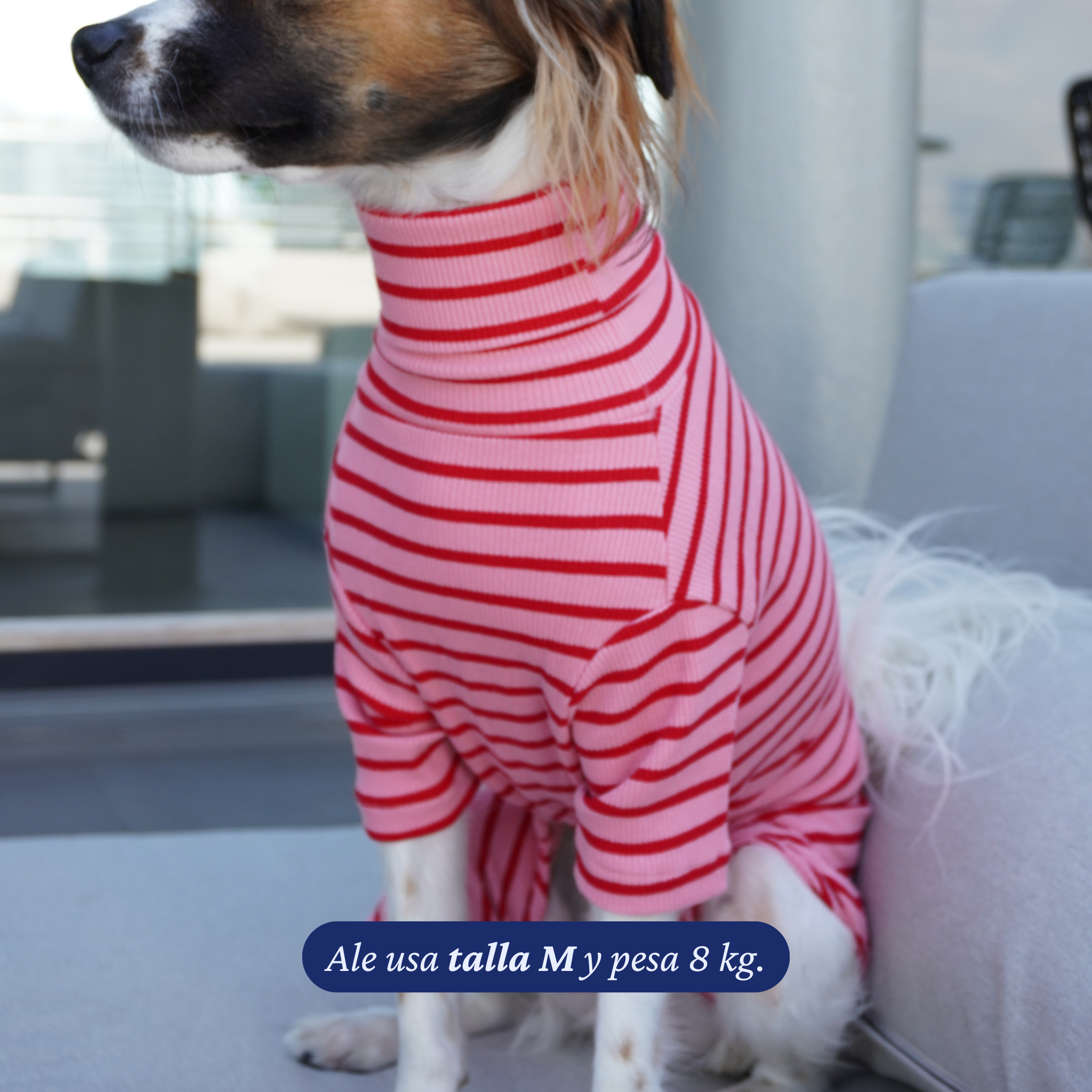 Enterito Everyday Stripe – Blush