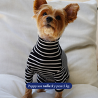 Enterito Everyday Stripe – Midnight