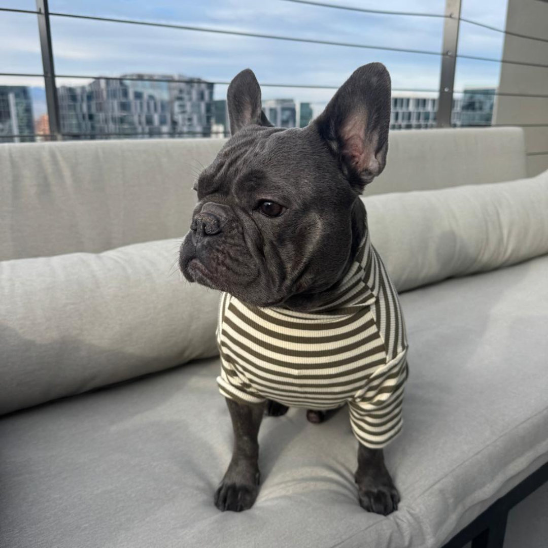 Polera Everyday Stripe – Olive