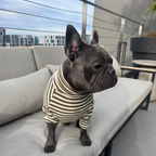 Polera Everyday Stripe – Olive