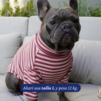 Polera Everyday Stripe – Berry