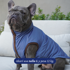Bulldog francés de 12 kg usando la Chaqueta Winter Reversible Cordillera de Dear Friend en talla L, por la cara azul.