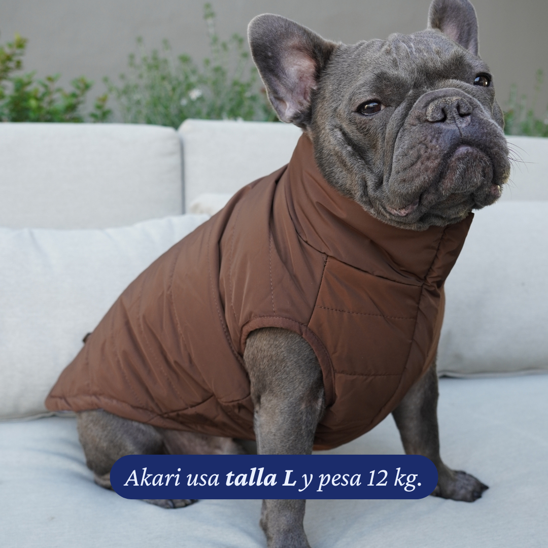 Bulldog francés de 12 kg usando la Chaqueta Winter Reversible Cordillera de Dear Friend en talla L, por la cara café.