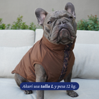 Bulldog francés de 12 kg usando la Chaqueta Winter Reversible Safari de Dear Friend en talla L, dada vuelta por la cara café lisa.