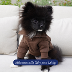Pomerania de 1,6 kg usando el Polerón Winter Espresso de Dear Friend en talla XS.