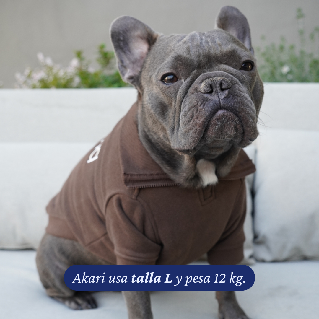 Bulldog francés de 12 kg usando el Polerón Winter Espresso de Dear Friend en talla L.