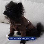 Pomerania de 1,6 kg con el Polerón Winter Espresso talla XS, vista del bordado dear friend en el lomo.