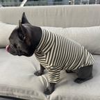 Polera Everyday Stripe – Olive