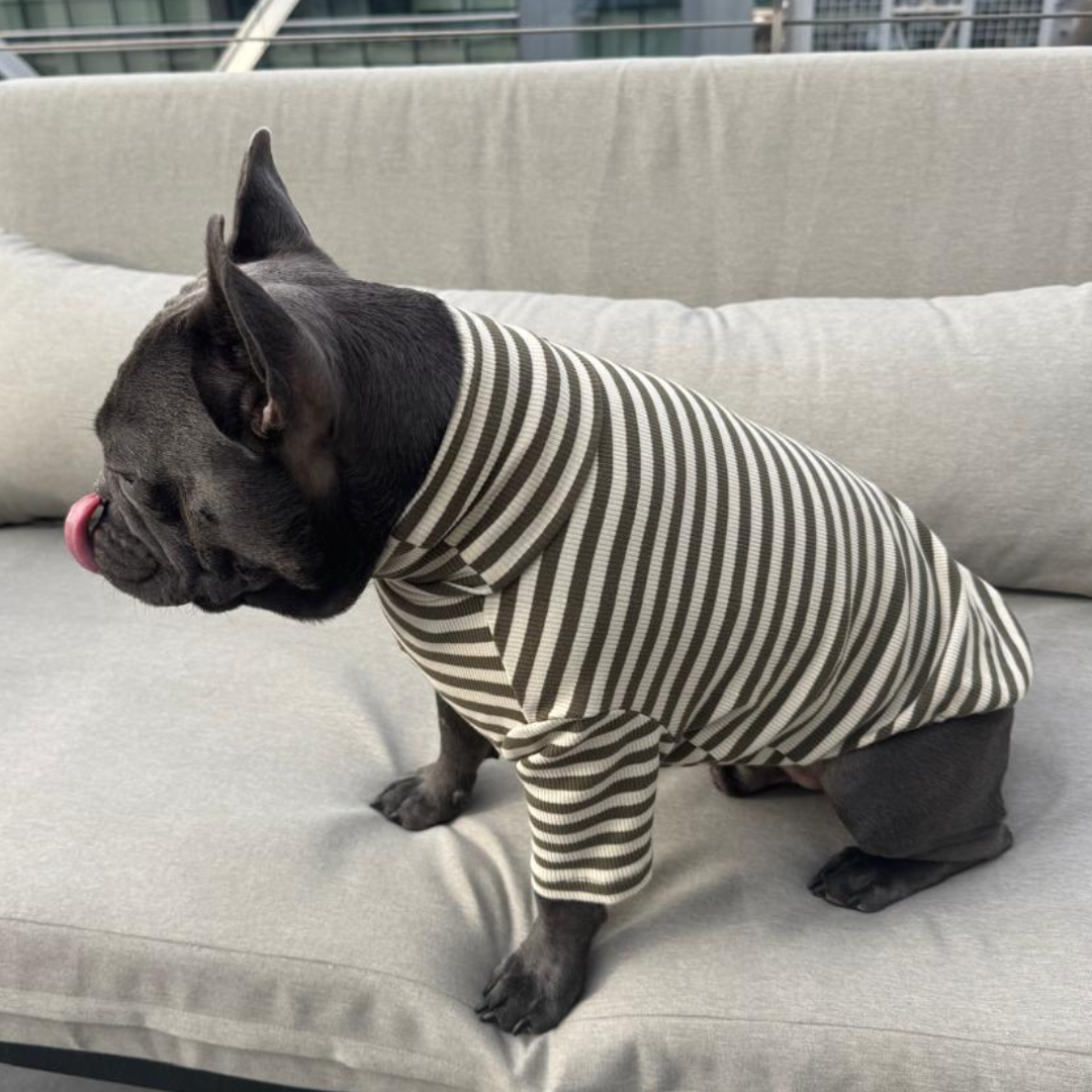 Polera Everyday Stripe – Olive