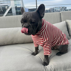 Polera Everyday Stripe – Poppy