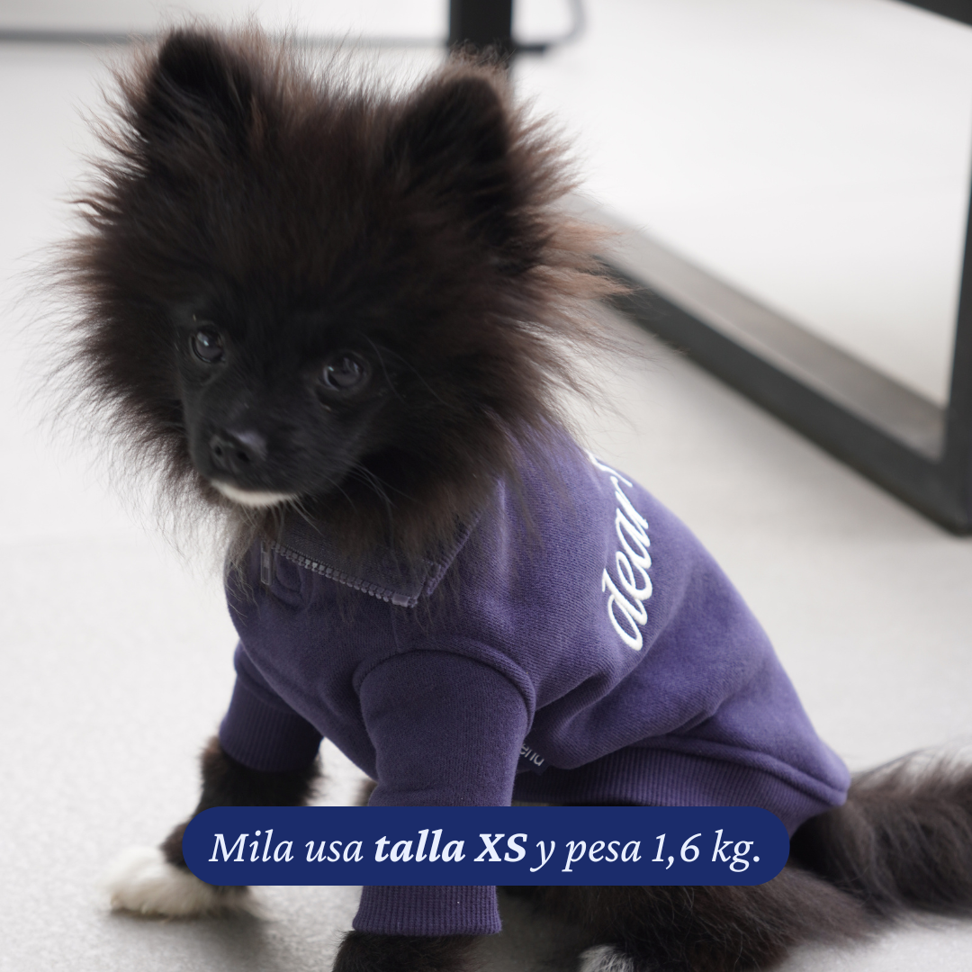 Pomerania de 1,6 kg usando el Polerón Winter Navy de Dear Friend en talla XS.