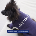 Pomerania de 1,6 kg con el Polerón Winter Navy talla XS, vista del bordado dear friend en el lomo.