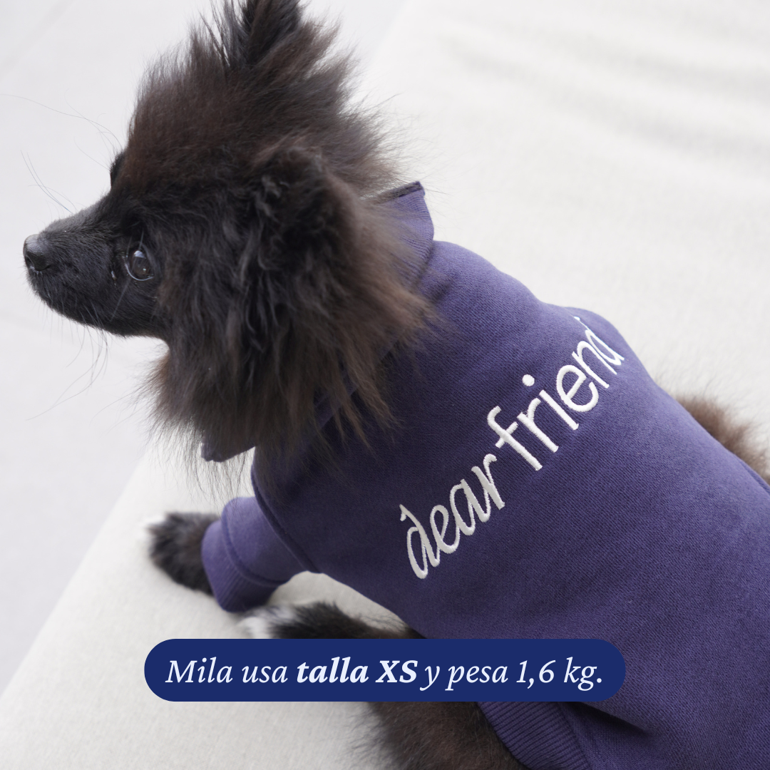 Pomerania de 1,6 kg con el Polerón Winter Navy talla XS, vista del bordado dear friend en el lomo.