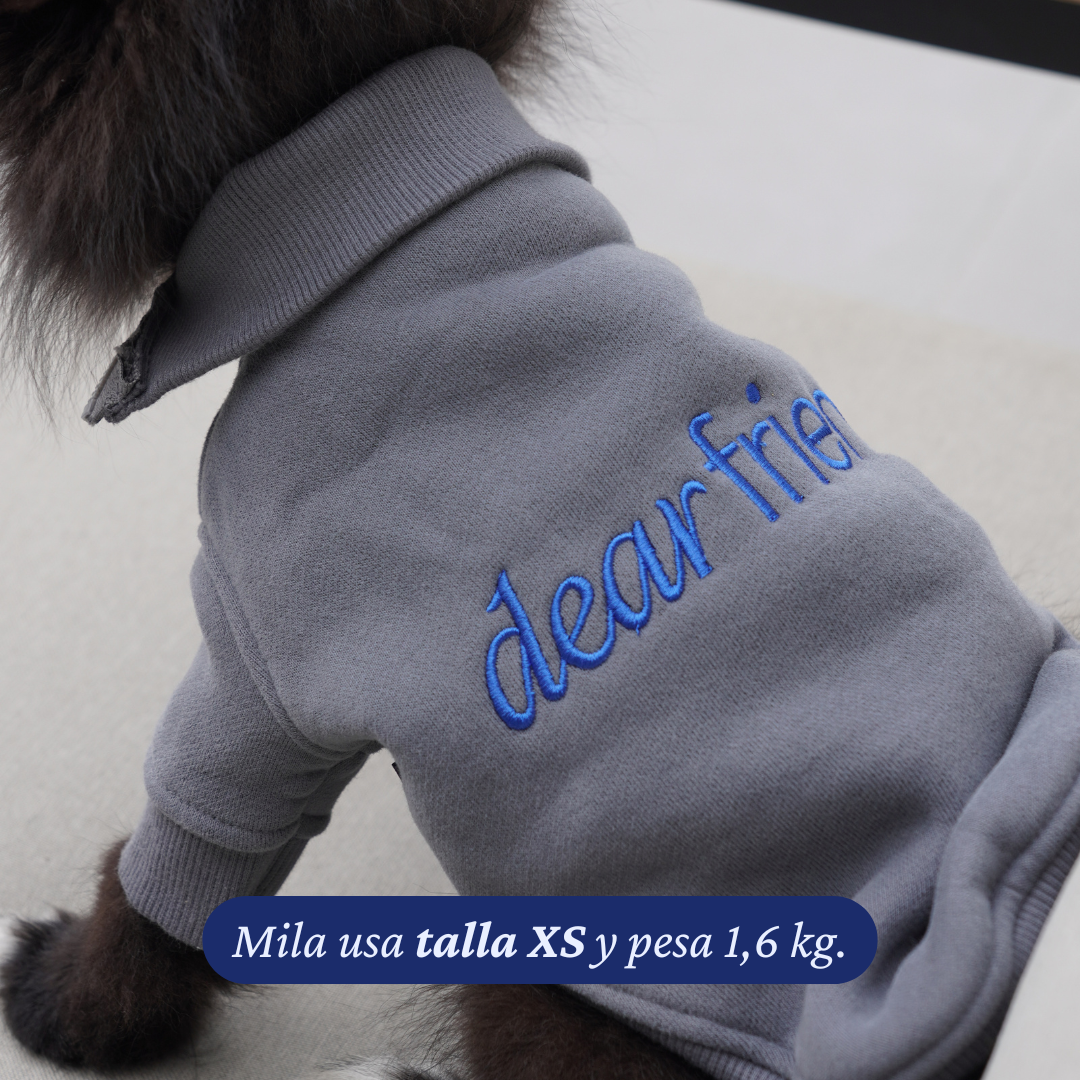 Pomerania de 1,6 kg con el Polerón Winter Grey talla XS, vista del bordado dear friend azul en el lomo.