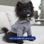 Pomerania de 1,6 kg usando el Polerón Winter Grey de Dear Friend en talla XS.