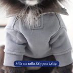 Detalle del cuello y del bolsillo del Polerón Winter Grey para perros de Dear Friend, en talla XS.