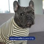 Polera Everyday Stripe – Olive