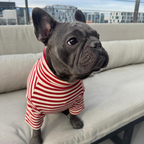 Polera Everyday Stripe – Poppy