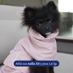 Pomerania de 1,6 kg usando el Impermeable Winter Blossom de Dear Friend en talla XS.