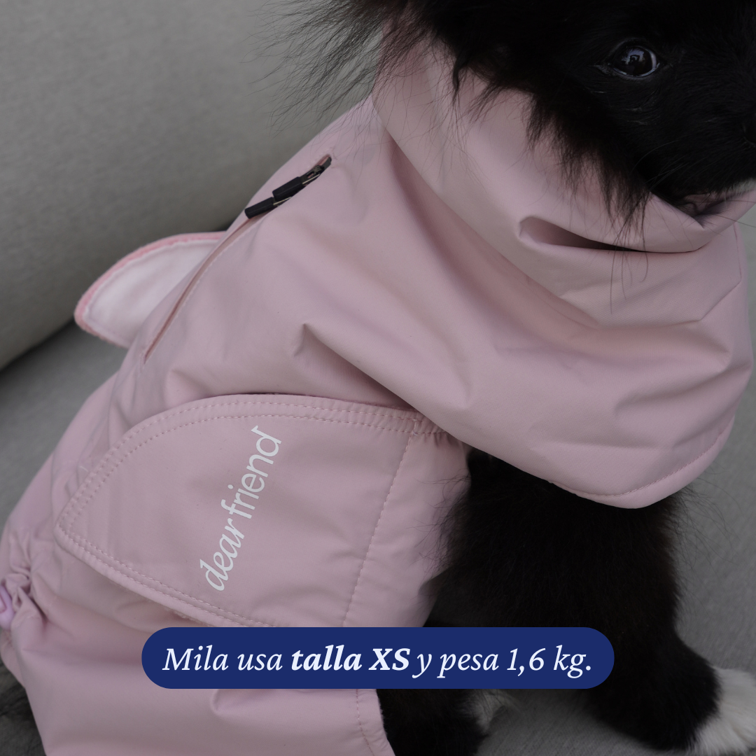 Pomerania de 1,6 kg usando el Impermeable Winter Blossom de Dear Friend en talla XS, vista del cierre lateral.