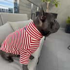 Polera Everyday Stripe – Poppy