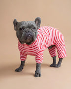 Enterito Everyday Stripe – Blush