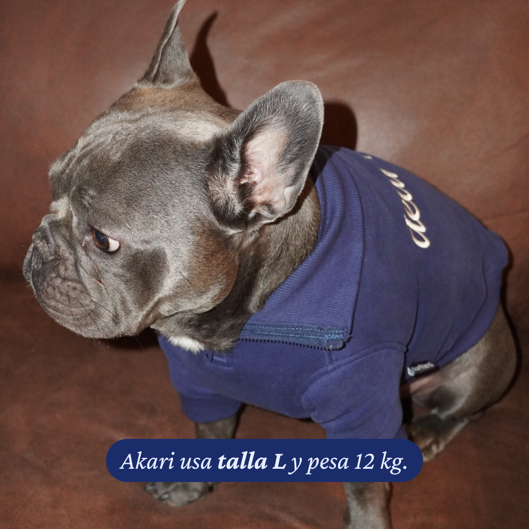 Polerón Everyday azul marino para perros, vista lateral. Dear Friend Chile.