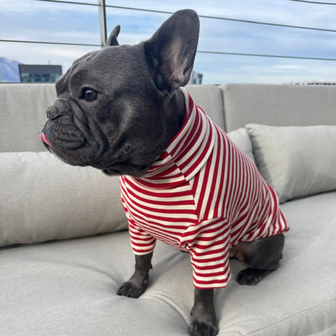 Polera Everyday Stripe – Poppy