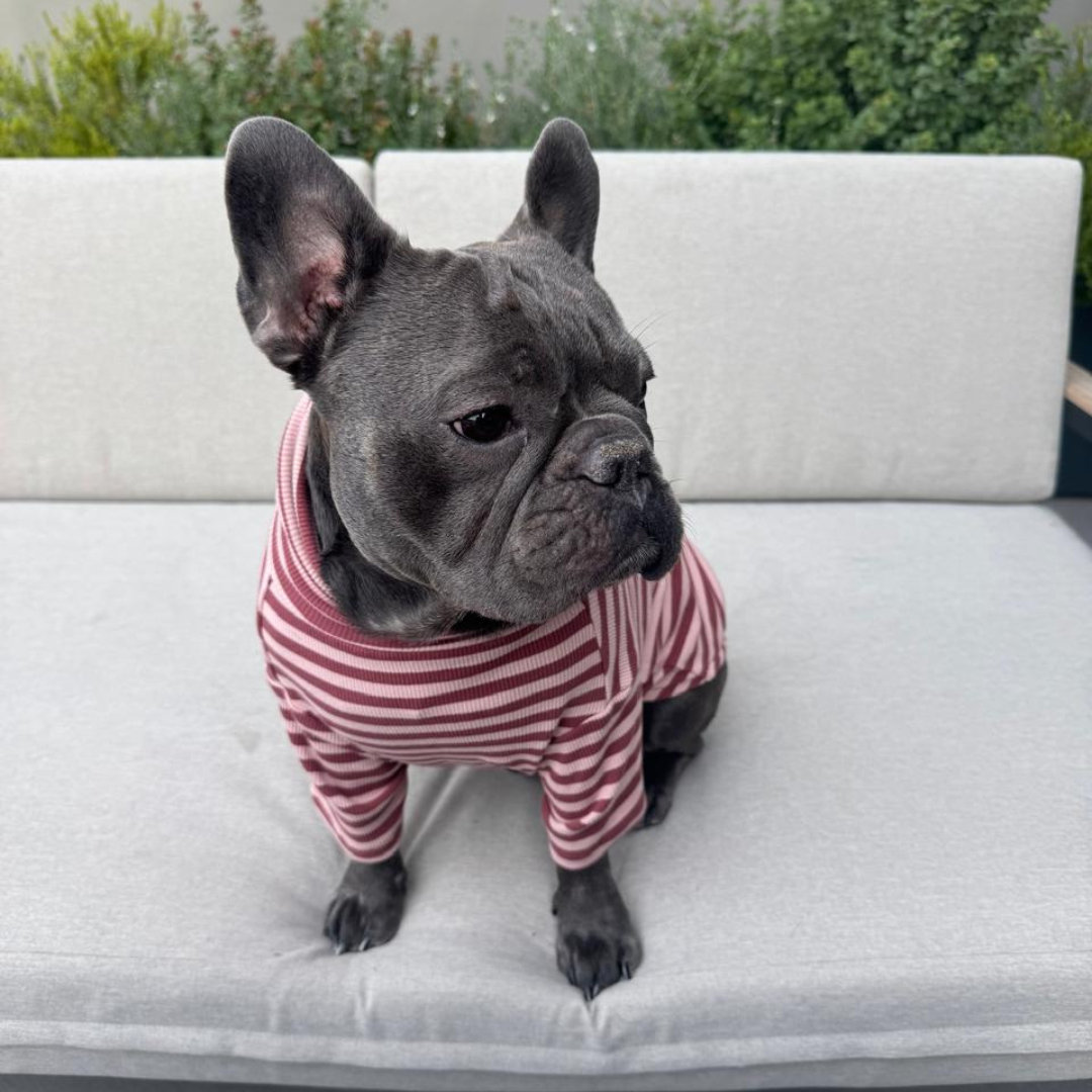 Polera Everyday Stripe – Berry