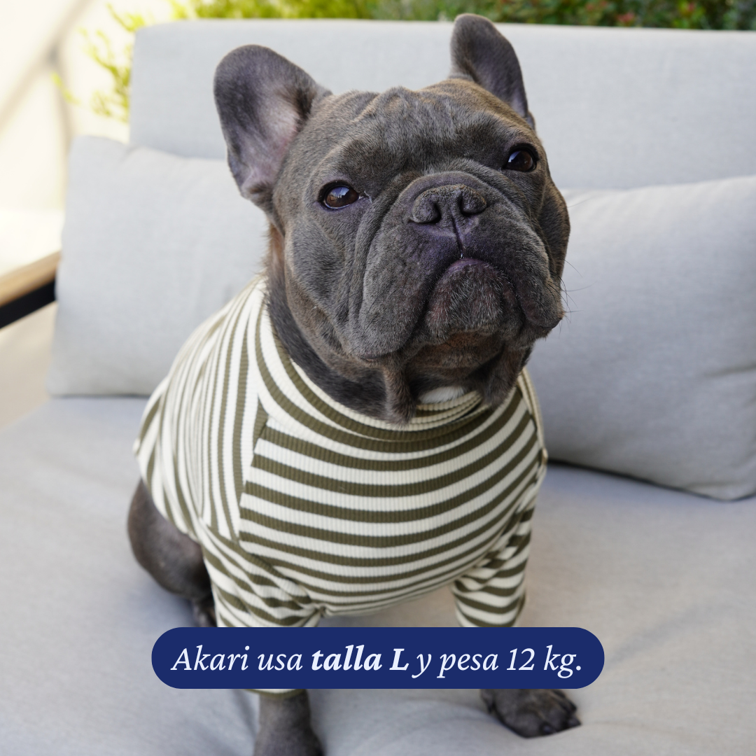 Polera Everyday Stripe – Olive