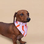 Bandana reversible para perros de Dear Friend con estampado de ajíes rojos sobre fondo rosado. Tela suave y liviana.