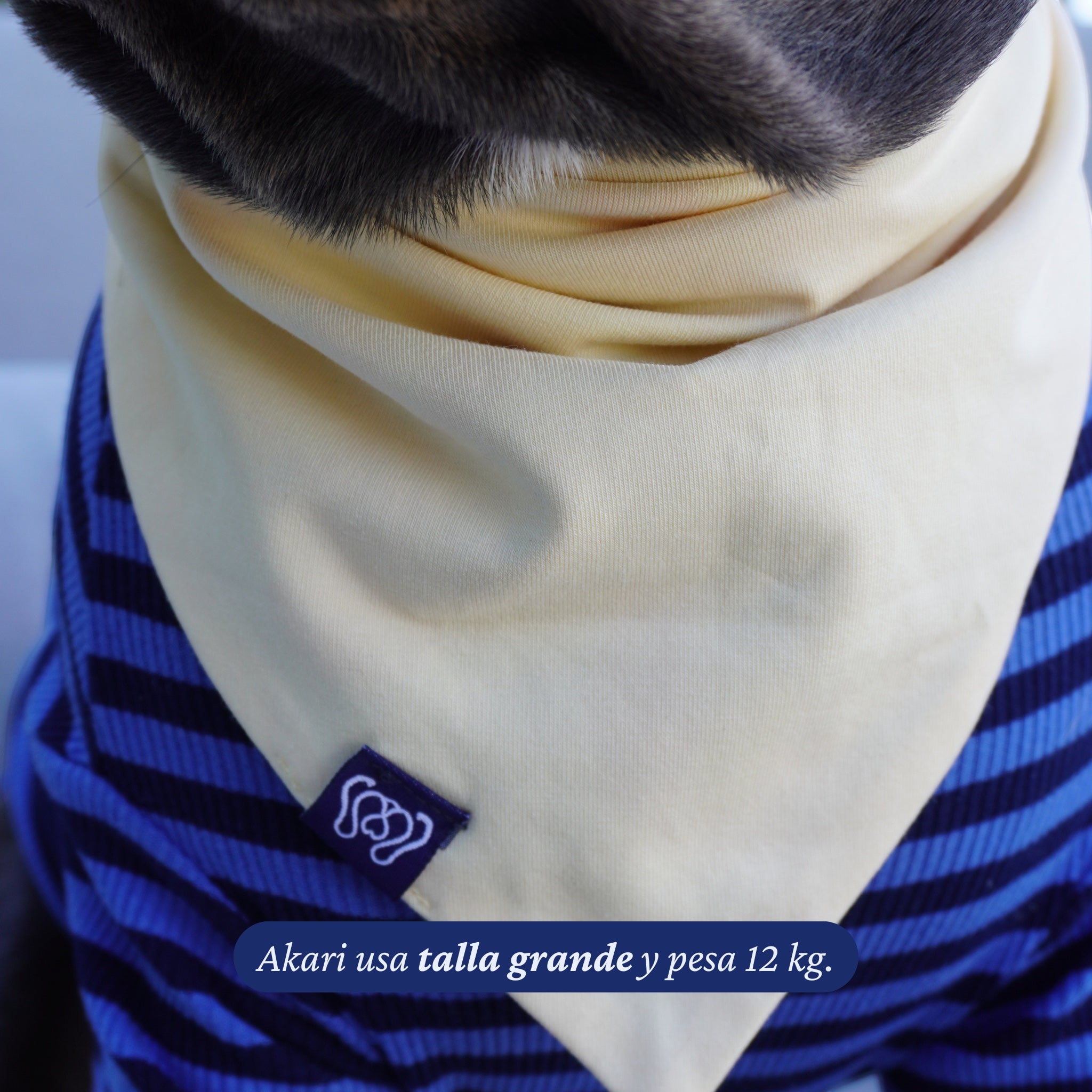 Bandana reversible Dear Friend Langosta en crema liso, con logo de la marca. Ideal para perros.