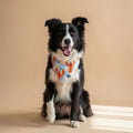 Bandana reversible para perros de Dear Friend con estampado de langostas naranjas sobre cuadros celestes y crema.