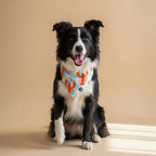 Bandana reversible para perros de Dear Friend con estampado de langostas naranjas sobre cuadros celestes y crema.