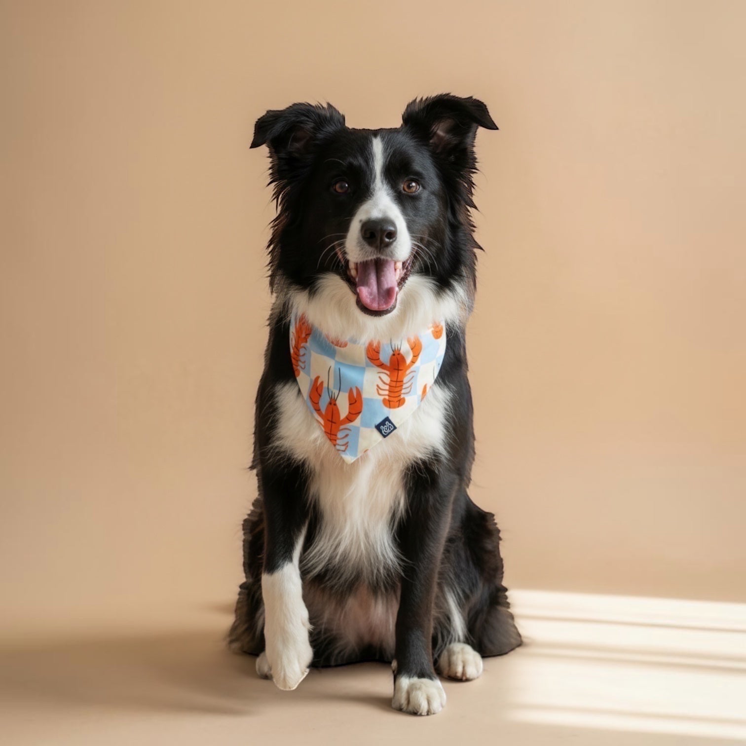Bandana reversible para perros de Dear Friend con estampado de langostas naranjas sobre cuadros celestes y crema.