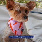Bandana reversible para perros de Dear Friend con estampado de ajíes rojos sobre fondo rosado. Tela suave y liviana.