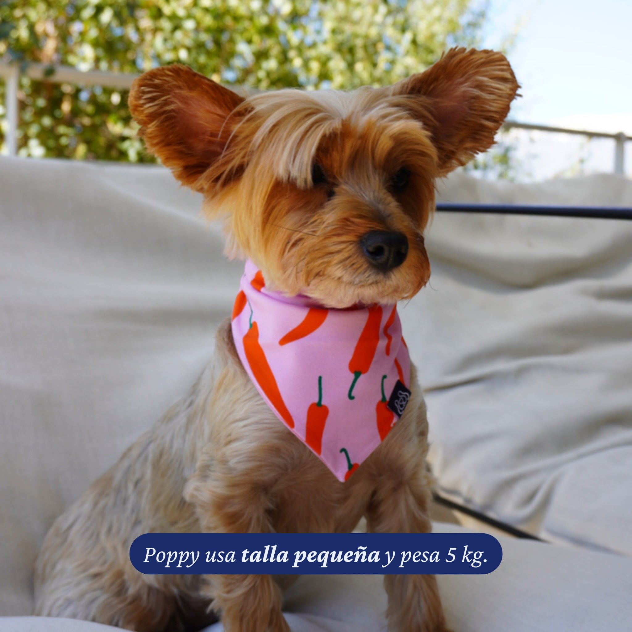 Bandana reversible para perros de Dear Friend con estampado de ajíes rojos sobre fondo rosado, tela suave y liviana.