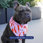 Bandana reversible para perros de Dear Friend con estampado de ajíes rojos sobre fondo rosado. Tela suave y liviana.