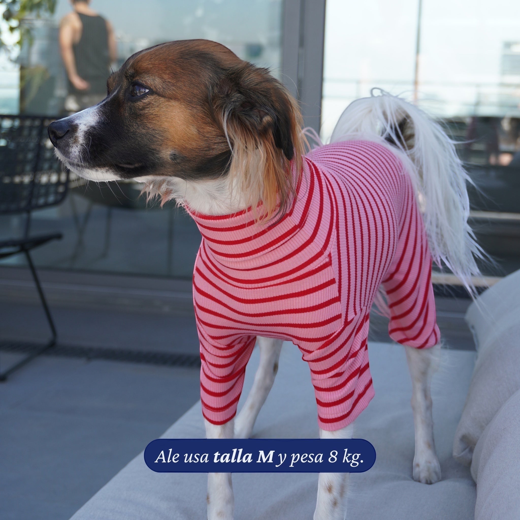 Enterito Everyday Stripe Blush de Dear Friend para perro, de algodón elasticado con rayas rosas y rojas, cuello alto y mangas largas.