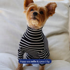 Enterito de algodón negro con rayas blancas de Dear Friend, cuello alto, manga larga, para perros.